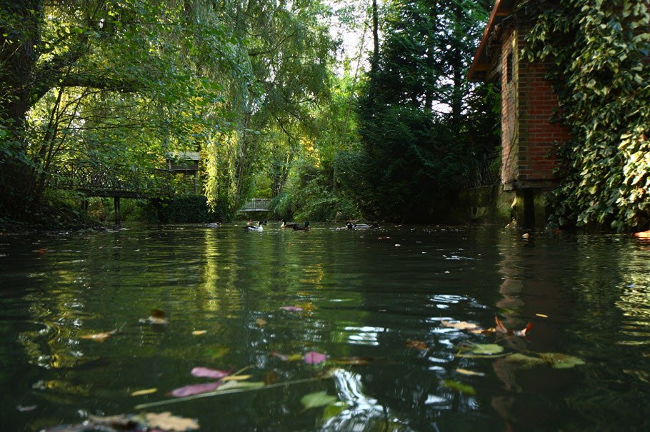 Serres Municipales Du Moulin À Tan, Sens, France